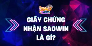 Giấy chứng nhận Saowin là gì? - Điểm đến cá cược lý tưởng 9 Giấy chứng nhận Saowin là gì? – Điểm đến cá cược lý tưởng